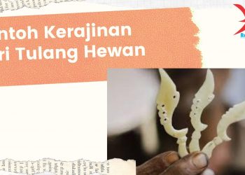 Contoh dan Macam-Macam Kerajinan Dari Tulang Hewan