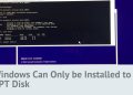 Windows Can Only be Installed to GPT Disk