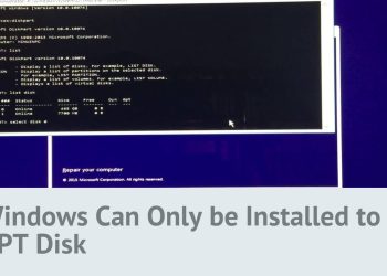 Windows Can Only be Installed to GPT Disk