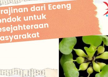 Kerajinan dari Eceng Gondok untuk Kesejahteraan Masyarakat
