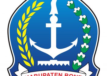 Logo Kabupaten Bone (INDONESIA) Original