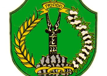 Logo Kabupaten Ngada Warna