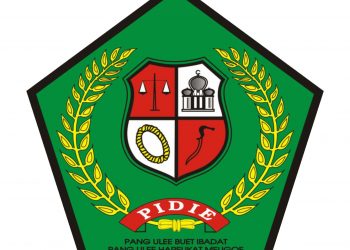Logo Kabupaten Pidie Warna