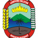Logo Lampung Selatan Warna