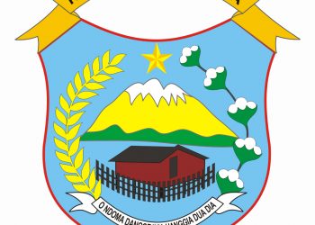 Logo Kabupaten Intan Jaya Warna