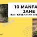 manfaat jahe bagi kesehatan tubuh