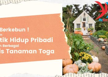 9 Jenis Tanaman Toga untuk Apotik Hidup Di Rumah