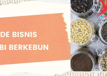 9 Jenis Tanaman Toga untuk Apotik Hidup Di Rumah