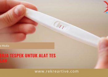 Cara Kerja Tespek Untuk Alat Tes Kehamilan