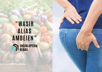 Inilah 10 Obat Alami Ambeien atau Wasir
