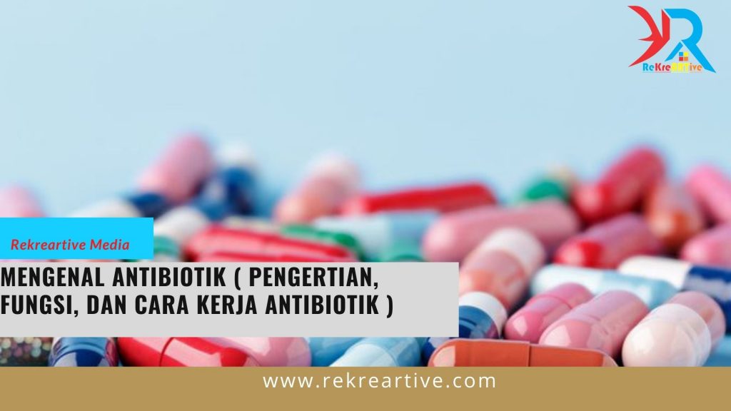 cARA KERJA ANTIBIOTIK