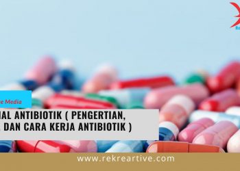cARA KERJA ANTIBIOTIK