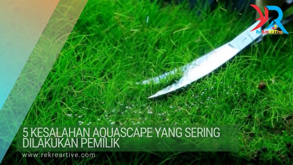 Kesalahan Aquascape