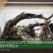 Hardscape aquascape