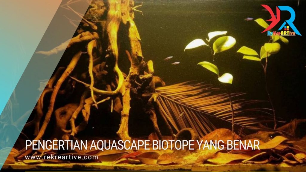 pengertiannya Aquascape biotop