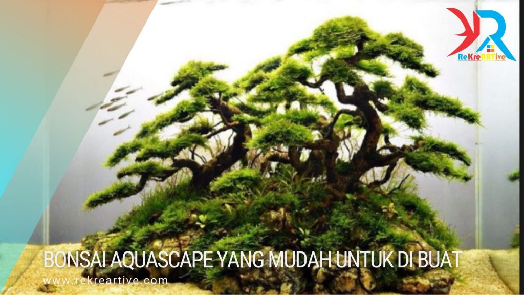 bonsai