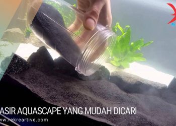 Pasir Aquascape yang mudah dicari