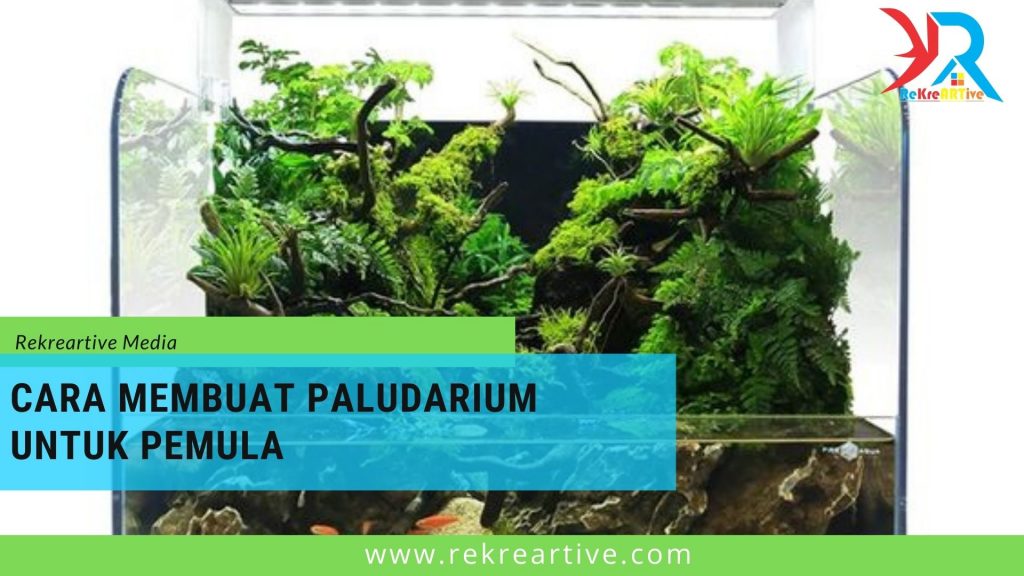 Paladium