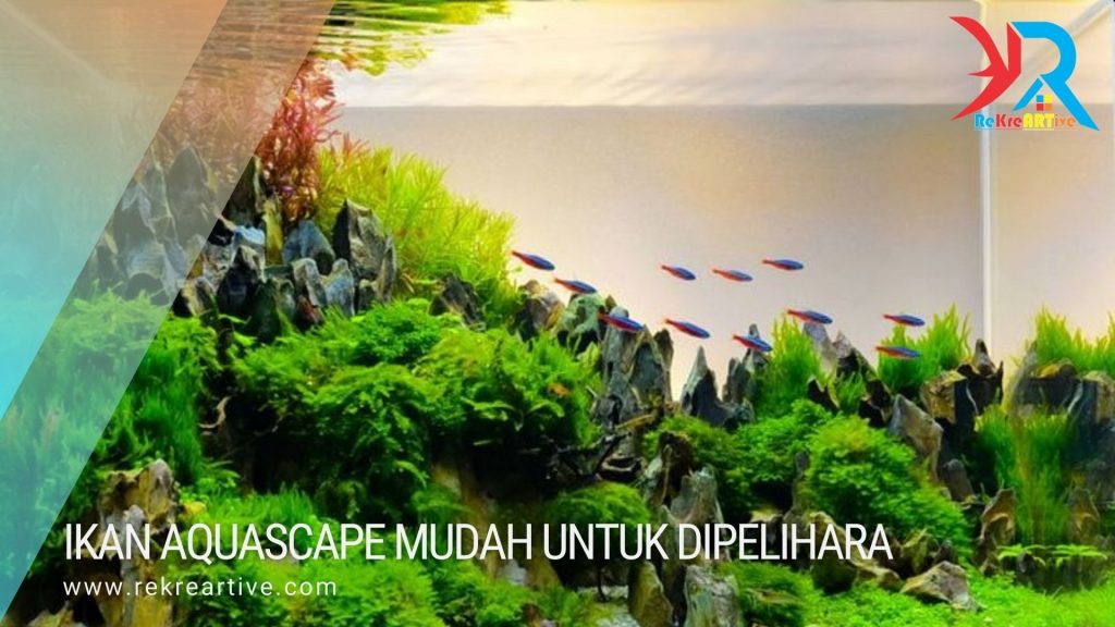 jenis ikan Aquascape