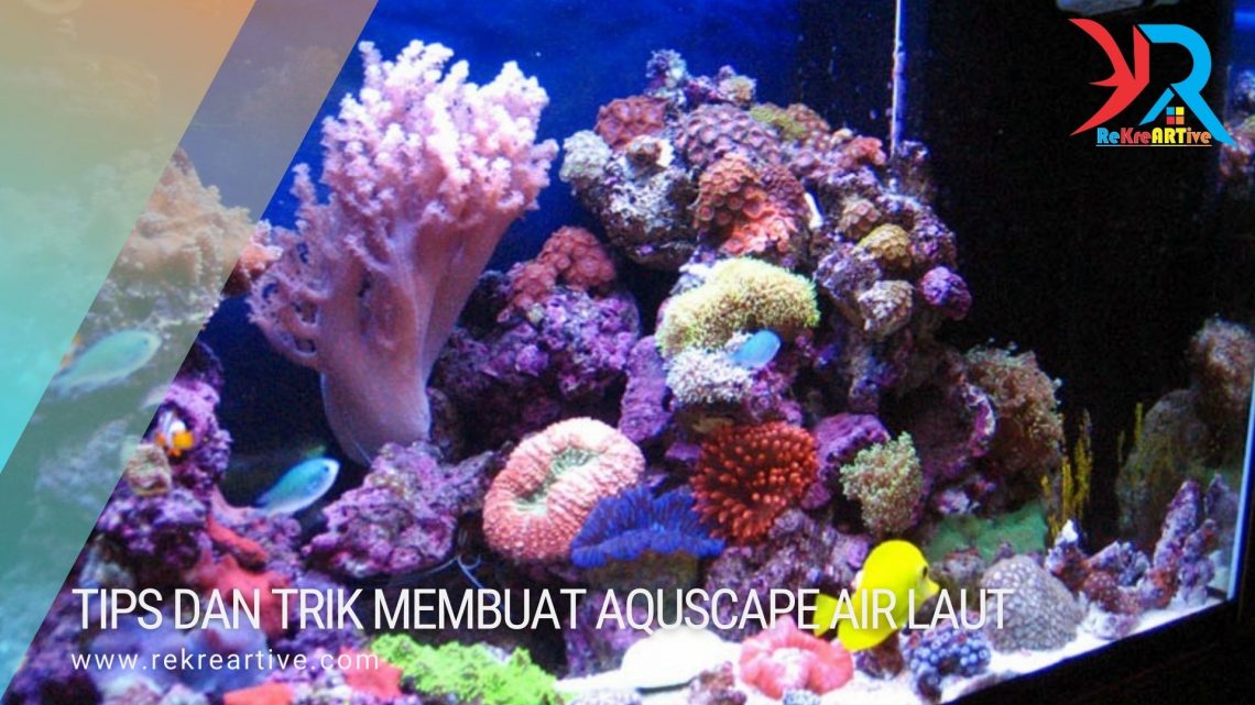 Aquascape air laut dalam ruangan sangat cocok sekali - rekreartive
