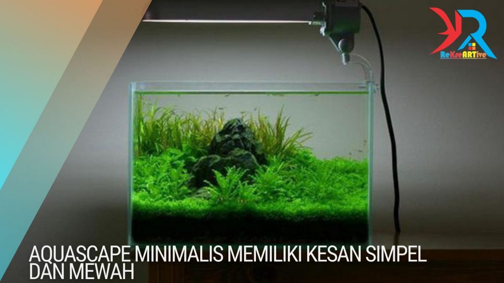 Aquascape minimalis