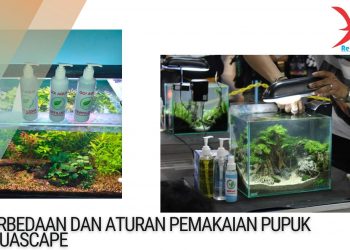Pupuk aquascape
