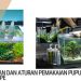 Pupuk aquascape