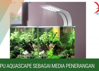 lampu aquascape