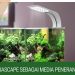 lampu aquascape