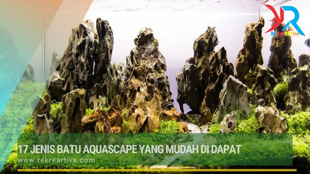 17 Jenis Batu Aquascape Yang Mudah di Dapat
