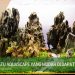 17 Jenis Batu Aquascape Yang Mudah di Dapat