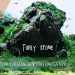 Asal Batu Turly Aquascape dan Harga nya