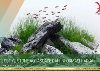 Batu Seiryu Stone Aquascape