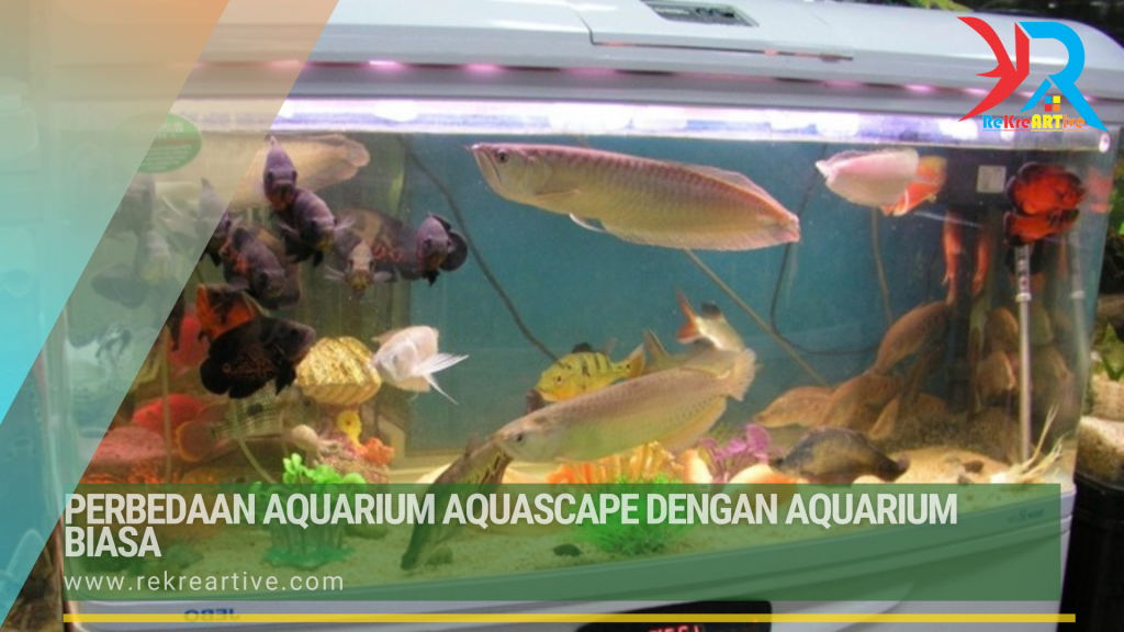 beda aquascape dan aquarium