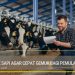 Cara Ternak Sapi Agar Cepat Gemuk Bagi Pemula