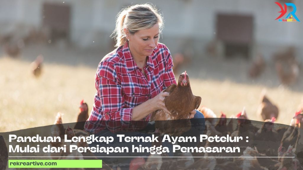 Panduan Lengkap Ternak Ayam Petelur : Mulai dari Persiapan hingga Pemasaran