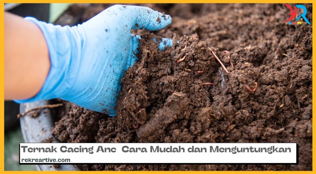 Ternak Cacing Anc