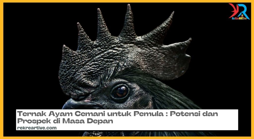 Mengenal Lebih Dekat Ternak Ayam Cemani: Manfaat dan Keuntungannya