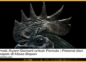 Mengenal Lebih Dekat Ternak Ayam Cemani: Manfaat dan Keuntungannya