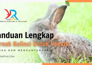 Panduan Lengkap Ternak Kelinci Untuk Pemula