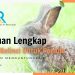 Panduan Lengkap Ternak Kelinci Untuk Pemula