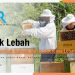 Panduan Lengkap: Memulai Ternak Lebah Madu untuk Pemula
