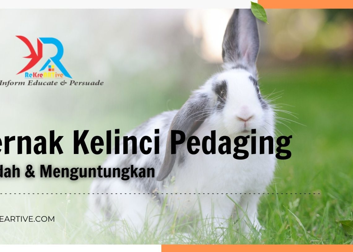 Agrikultur Archives Rekreartive Agrikultur Archives Rekreartive