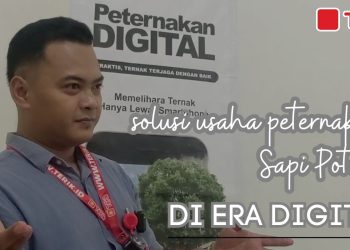 Ternak Sapi Makin Mudah dengan Peternakan Digital - Terik Indonesia Inside