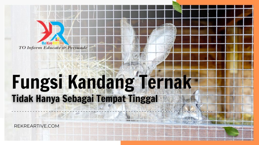 Fungsi Kandang Ternak