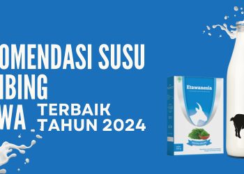 Susu Kambing Etawa Terbaik Tahun 2024
