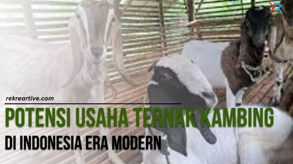 Potensi ternak Kambing di Indonesia Era Modern