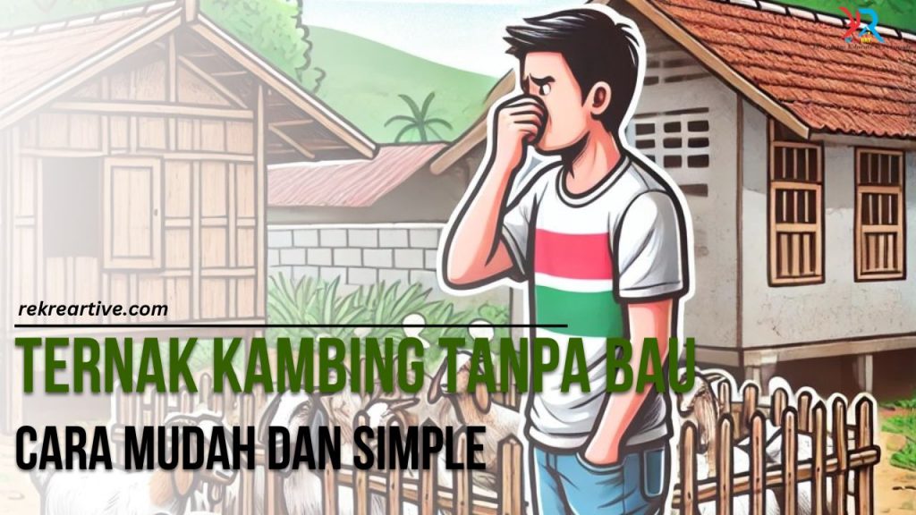 Ternak Kambing Tanpa Bau Cara Mudah dan Simple