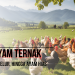 Jenis Ayam Ternak