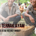 Potensi Ternak Ayam Peluang Bisnis atau Resiko Tinggi?